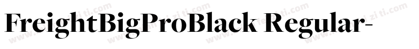 FreightBigProBlack Regular字体转换